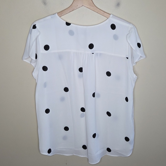 NWT Loft Off-White & Black Polka Dot Tulip Short Sleeve V-neck Blouse Size Large - Picture 6 of 6